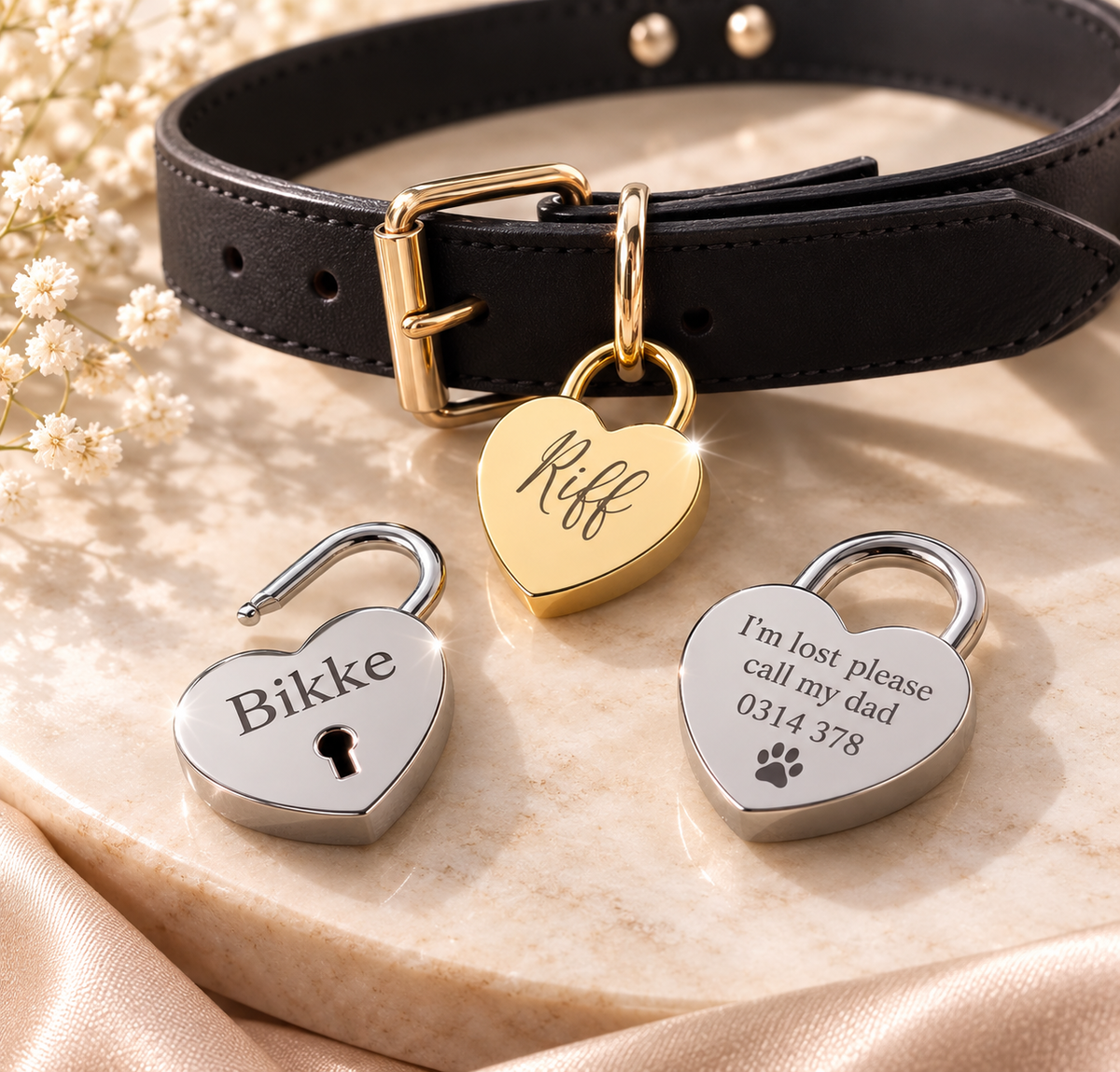 The Amour Paw Lock